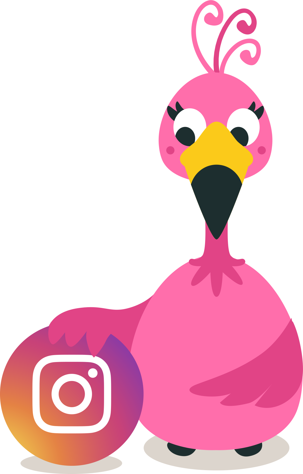 flamingo instagram