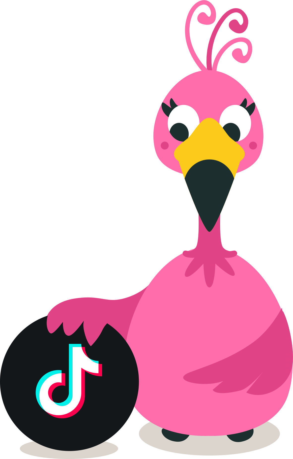 flamingo tiktok